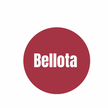 Load image into Gallery viewer, Blush Stick